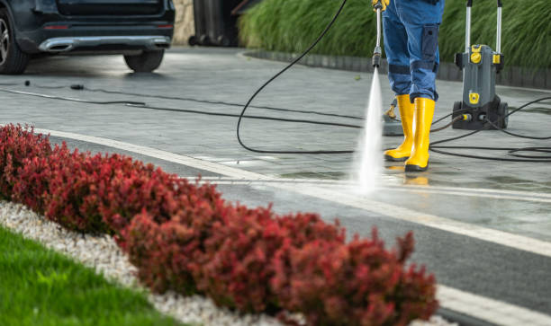 Best Roof Pressure Washing  in Ogden, UT
